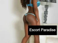 Sonia -Benelux Escort -